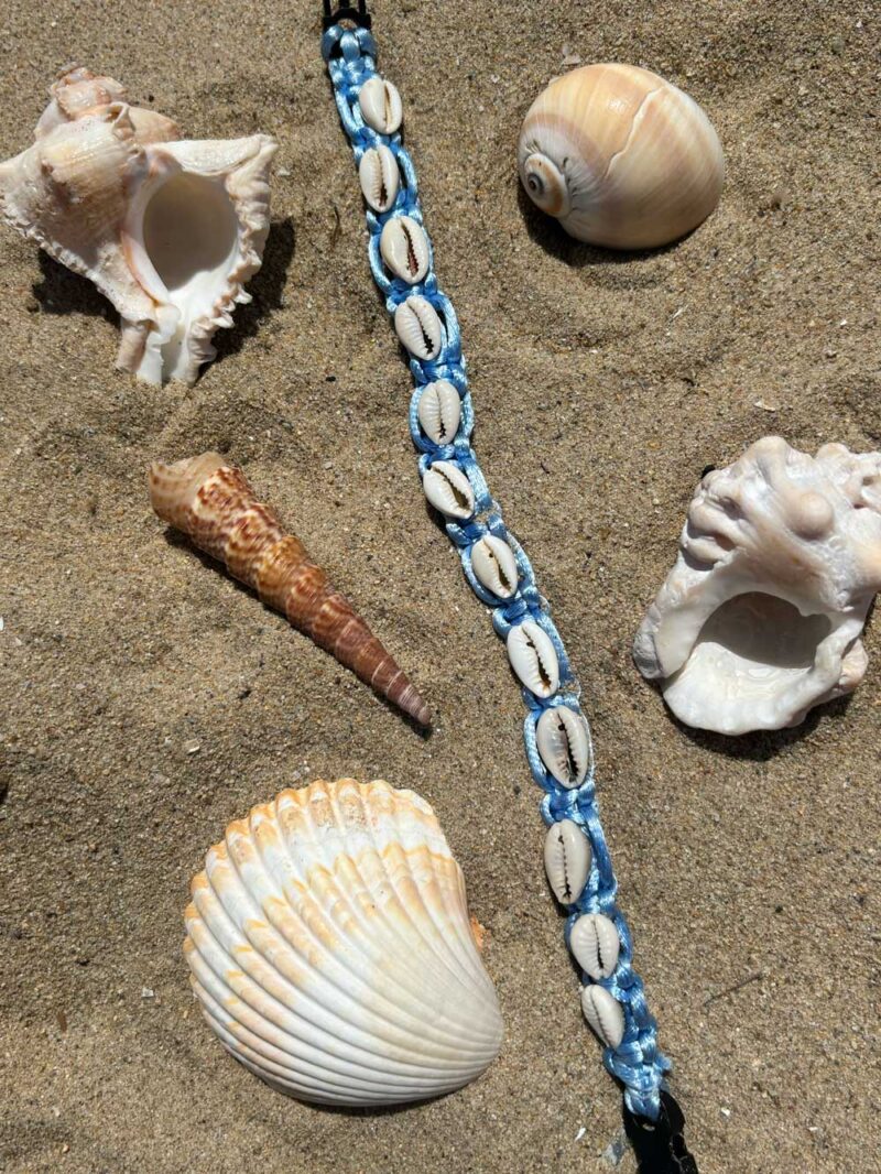 Cowrie Shell Collar - Image 3