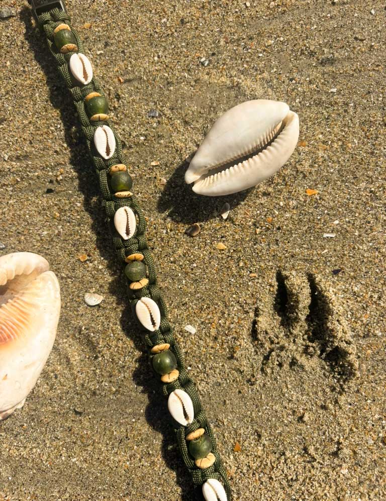 Cowrie & Green Sea Glass collar on the sand beside cowrie shells and a paw print