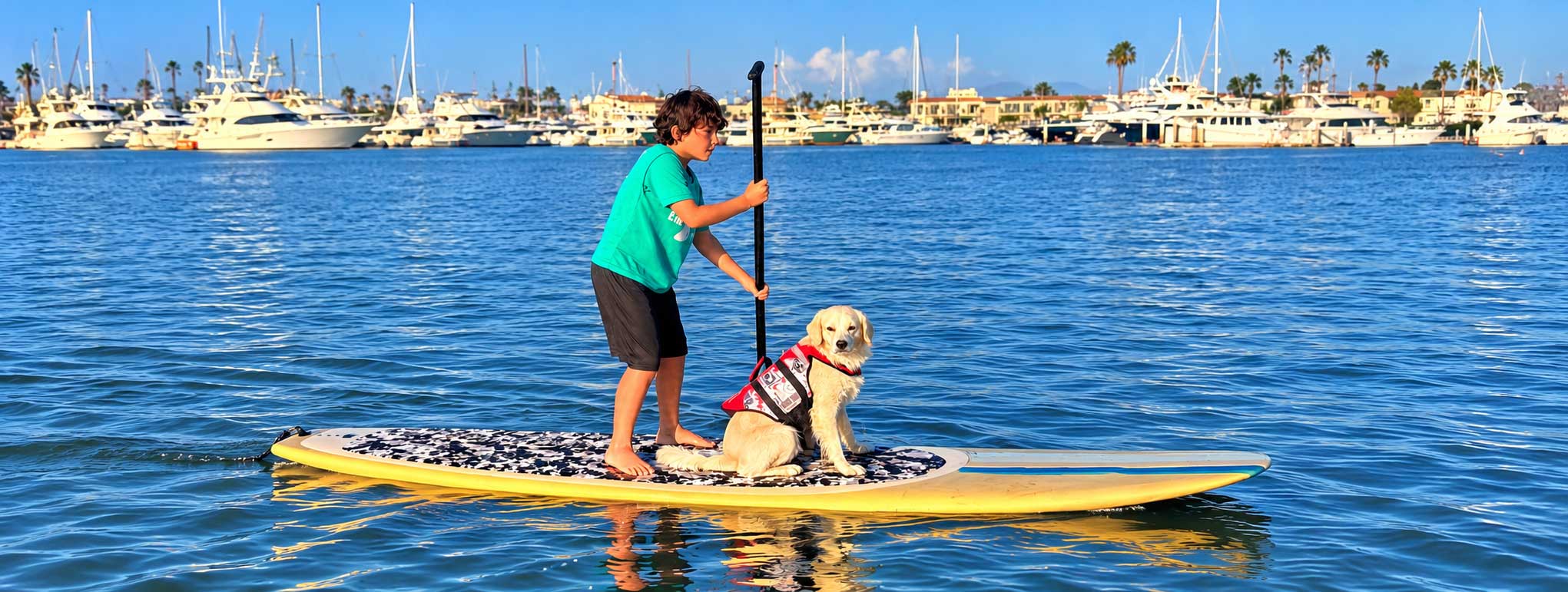 Boy and his dog paddleboarding in a San Diego marina